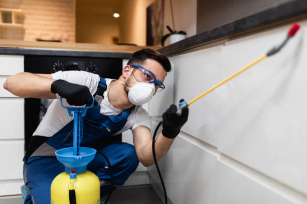 Best Mosquito Control Services  in Montevlo, AL