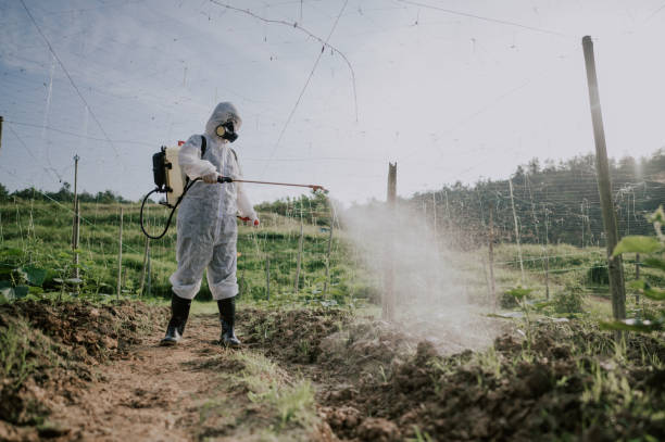 Best Ant Control Services  in Montevlo, AL