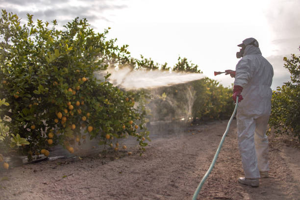 Best Best Pest Control Companies  in Montevlo, AL