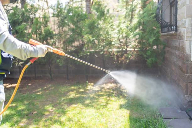 Best Spider Control Near Me  in Montevlo, AL