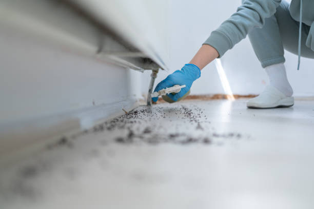 Best Best Pest Control Companies  in Montevlo, AL