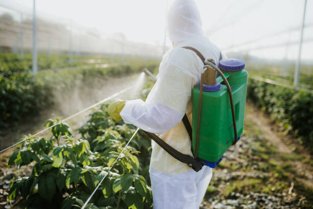 Best Termite Control Services  in Montevlo, AL
